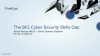 The BIG Cyber Security Skills Gap