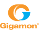Gigamon