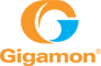 Gigamon